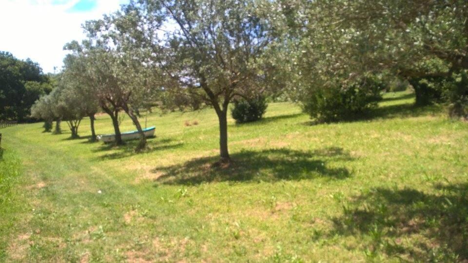 Borgo Rosso Country House B&B Sirolo Exterior foto