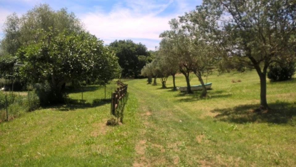 Borgo Rosso Country House B&B Sirolo Exterior foto