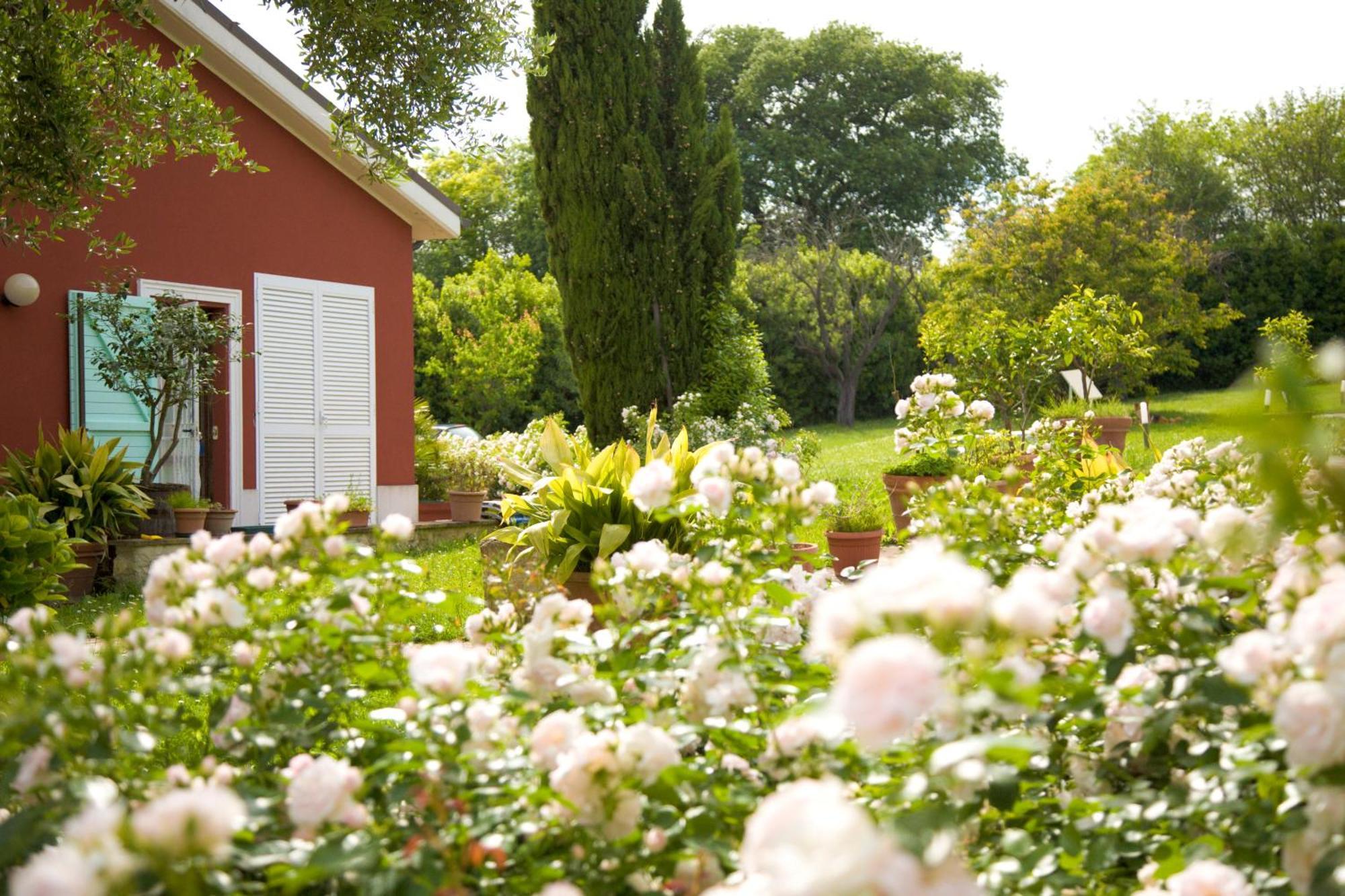 Borgo Rosso Country House B&B Sirolo Exterior foto