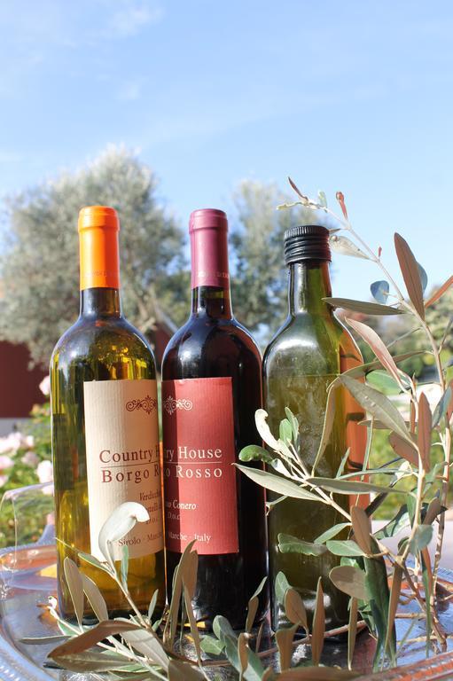 Borgo Rosso Country House B&B Sirolo Exterior foto